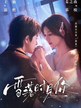 雪落时见你