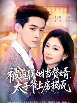 被迫联姻当赘婿太子爷上房揭瓦