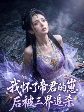 我怀了帝君的崽后被三界追杀