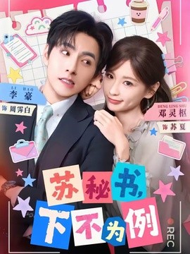 苏秘书下不为例