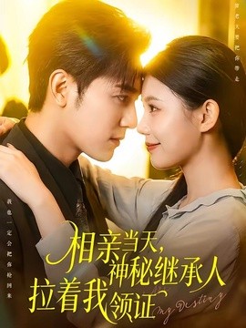 相亲当天神秘继承人拉着我领证