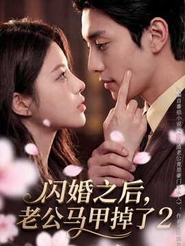 闪婚之后老公马甲掉了第二季