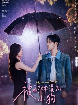 被雨淋湿的小狗封面图
