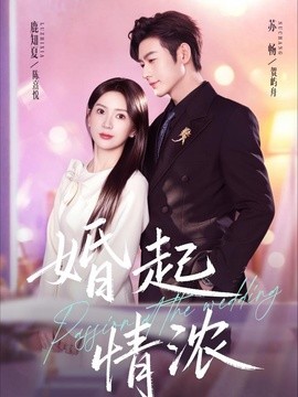 婚起情浓封面图