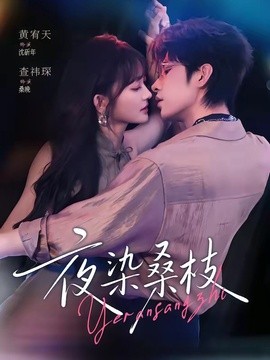 夜染桑枝封面图