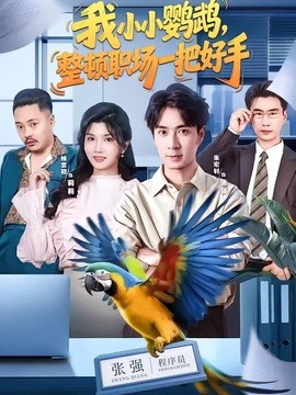 我小小鹦鹉，整顿职场一把好手封面图